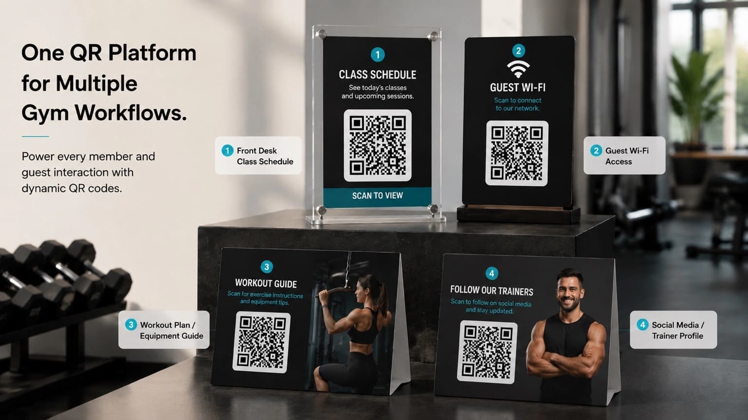 Gym QR Code Workflows